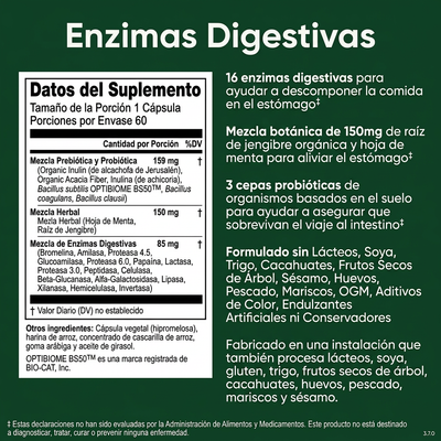 Enzimas Digestivas Naturales