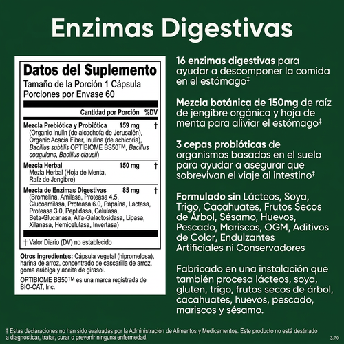 Enzimas Digestivas Naturales
