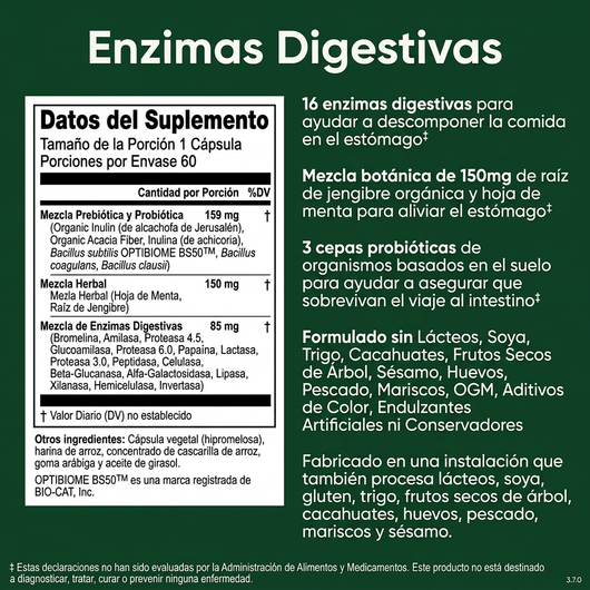 Enzimas Digestivas Naturales